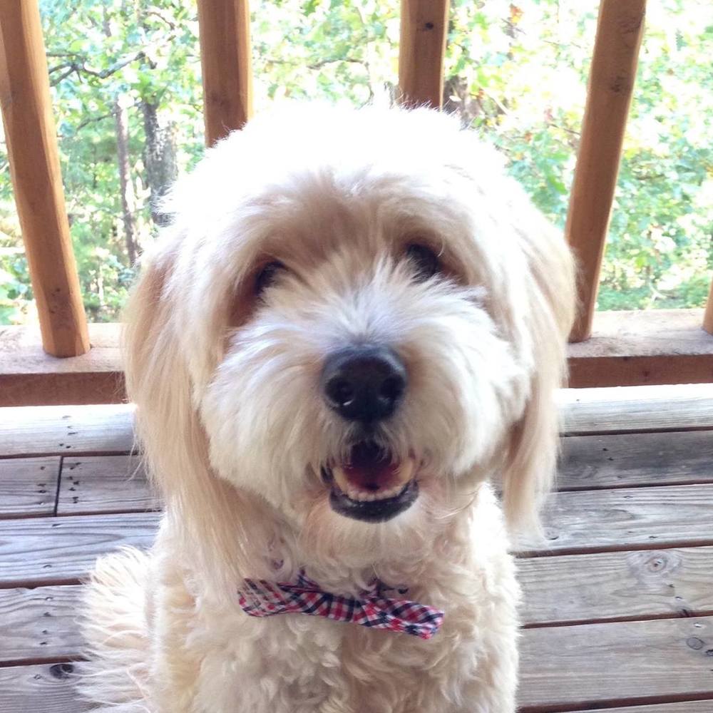 Meet your Posher, Jenny